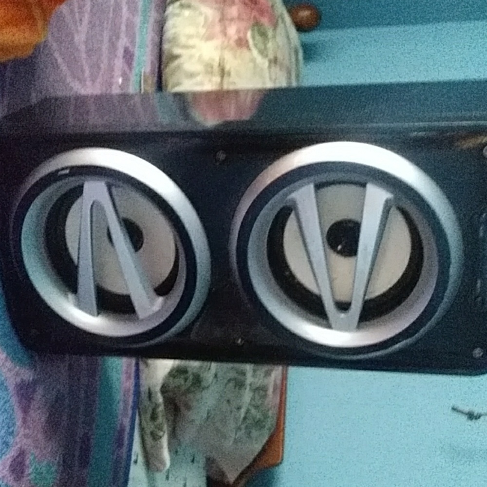 Speaker